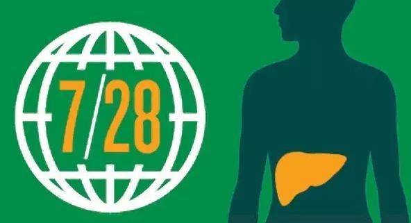 2015國內肝炎用藥市場超400億元：護肝藥為領先品類，占比1/...