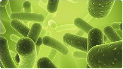 你知道陰道清潔度反映什么嗎？