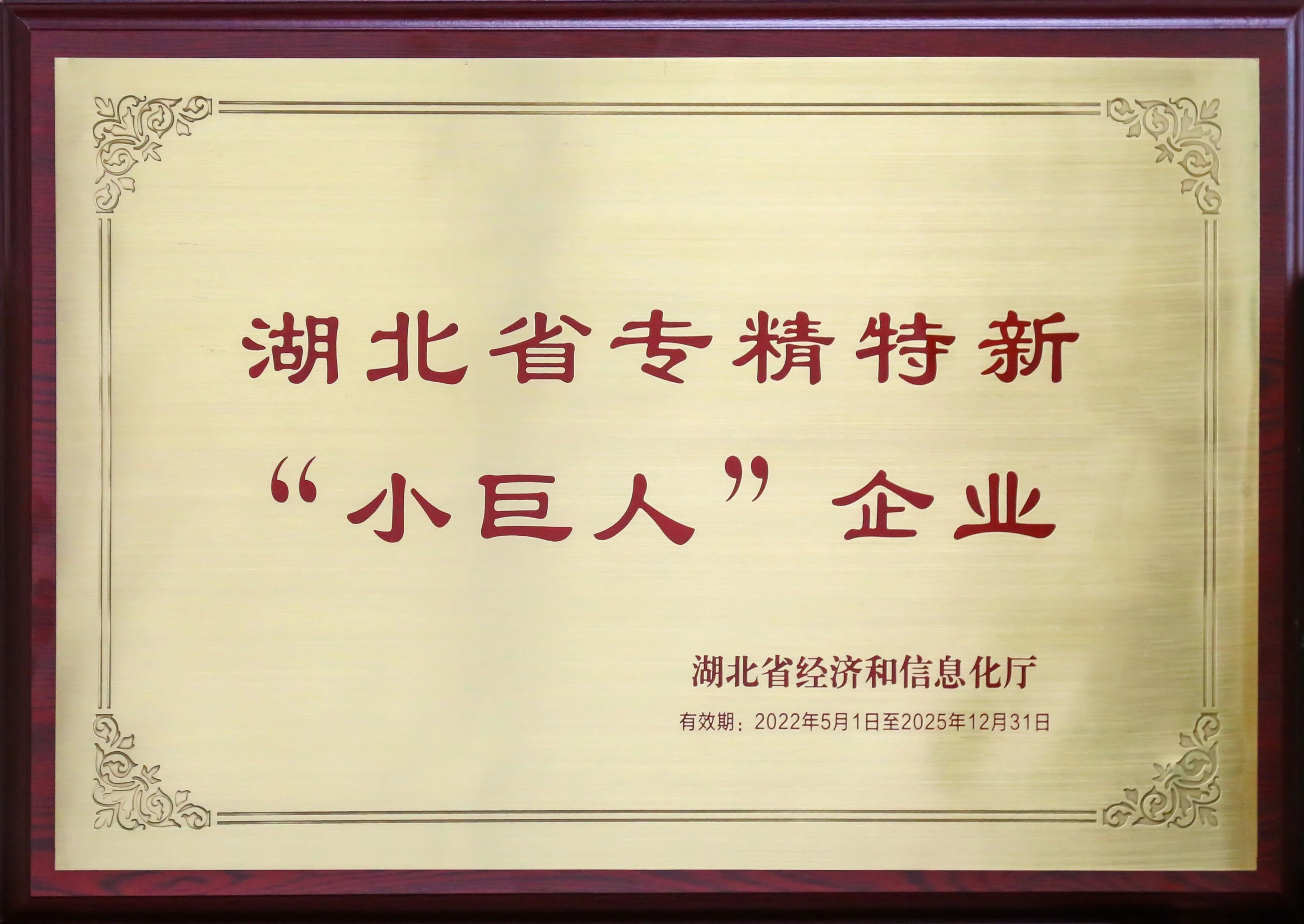 盤點新疆26省聯(lián)盟集采，湖北東信擬中選（婦科）品種數(shù)量名列榜首